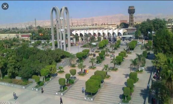 جامعة حلوان 