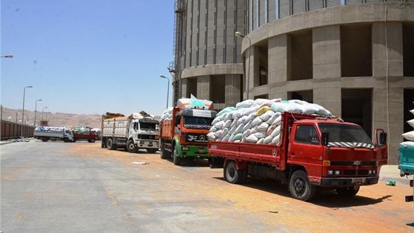 توريد الأقماح 