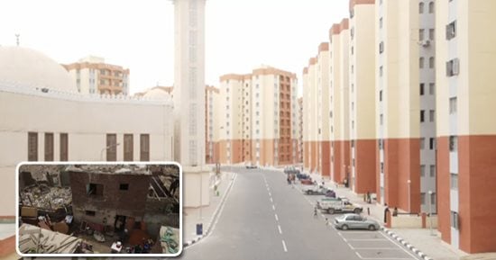 الأسمرات وصورة مصغرة لبطن البقرة 