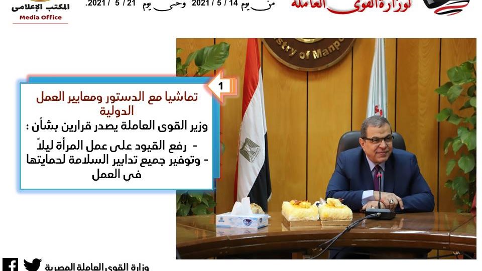 محمد سعفان وزير القوي العاملة 