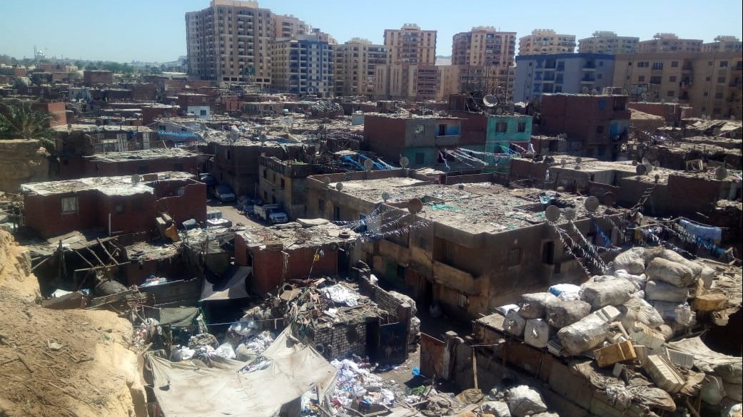 بطن البقرة العشوائية