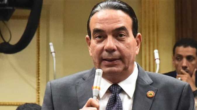  النائب أيمن أبو العلا