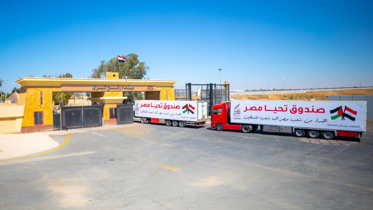 قافلة تحيا مصر لدعم غزة 