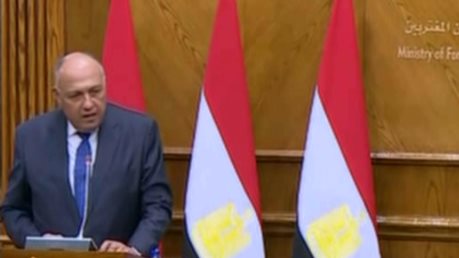 وزير الخارجية المصرى 