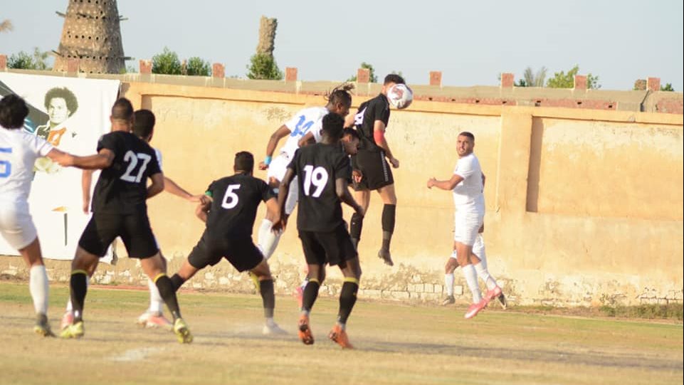 القناة - النجوم 