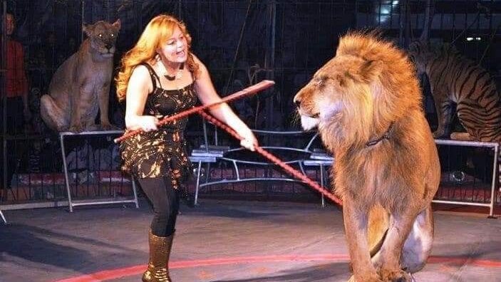 الفنون الشعبية 