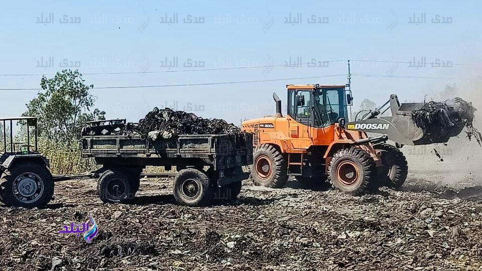 رفع القمامة في كفر الشيخ