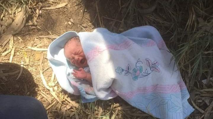 الطفل الرضيع