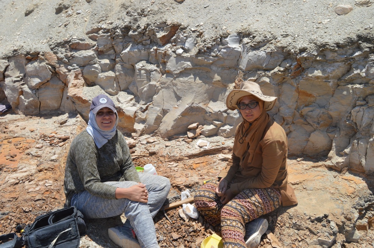 فريق حفريات جامعة المنصورة فريق حفريات جامعة المنصورة