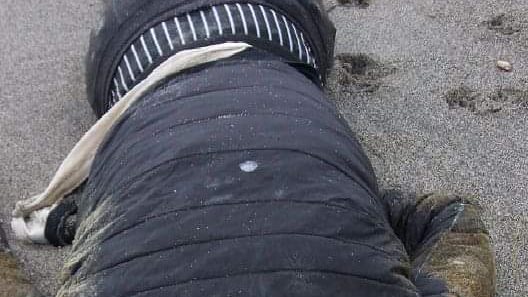 صورة ارشيفية