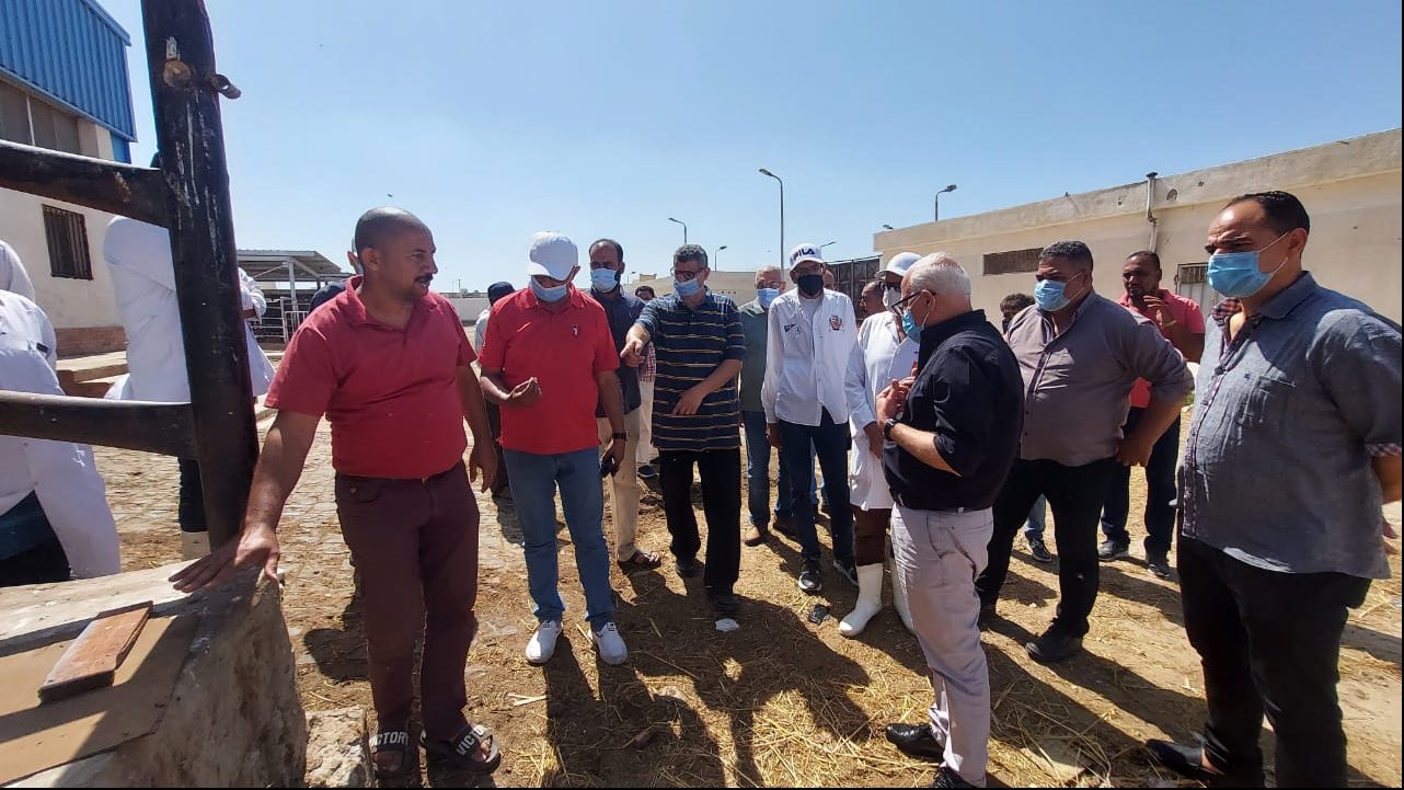 محافظ بورسعيد يوجه بالارتقاء بالخدمات المقدمة بالمجزر الآلى