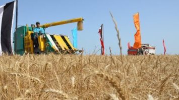 تداول الأقماح