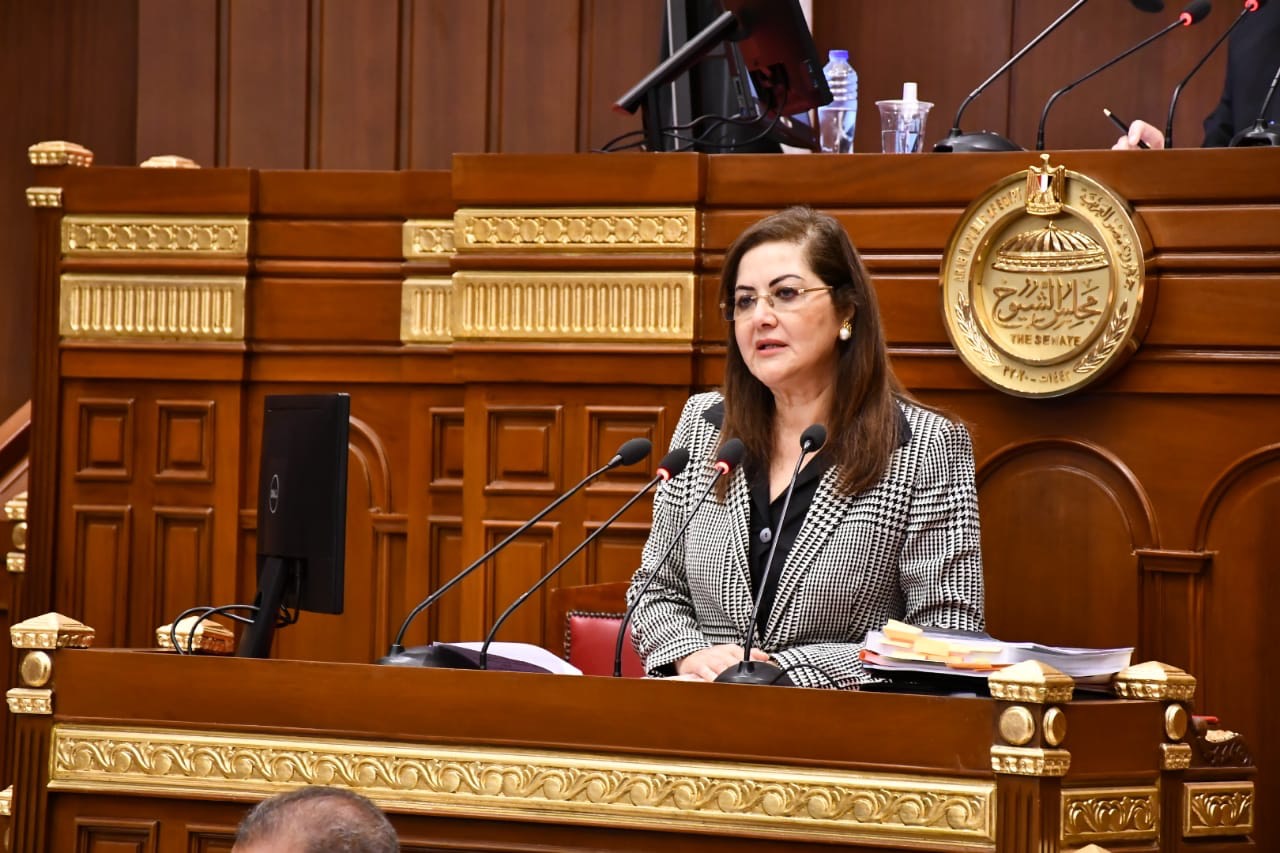 وزيرة التخطيط