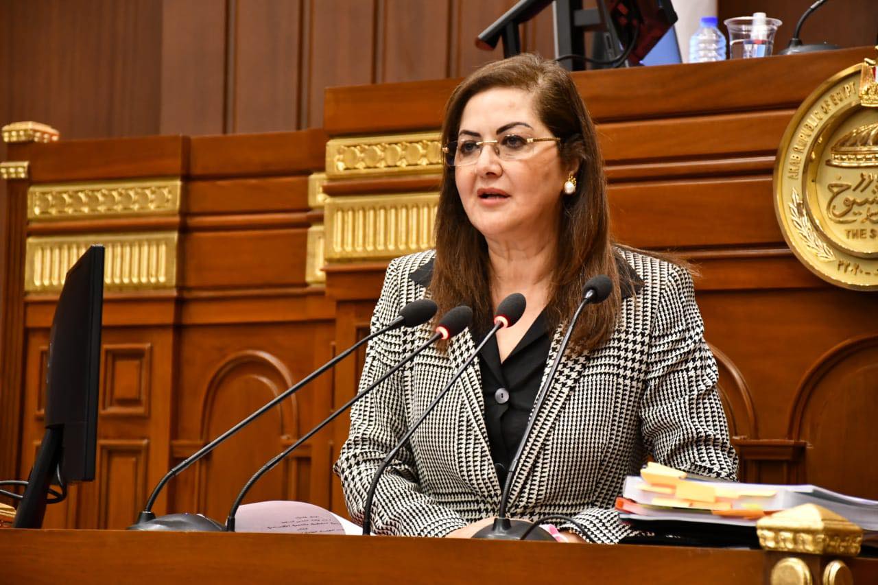 وزيرة التخطيط