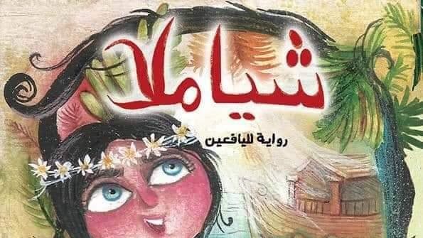 غلاف الكتاب 