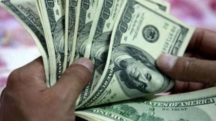 سعر الدولار 