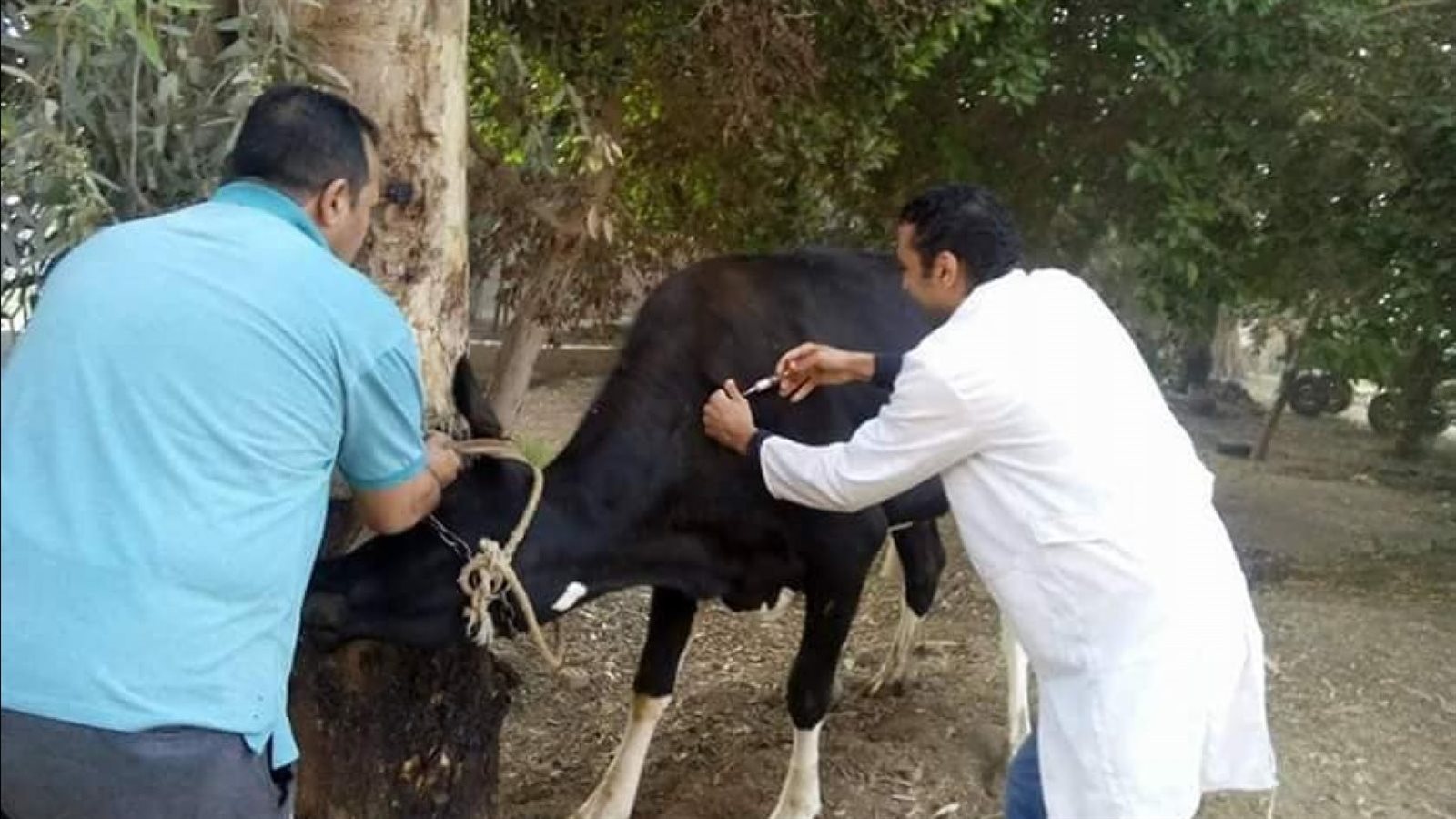 محافظة بني سويف