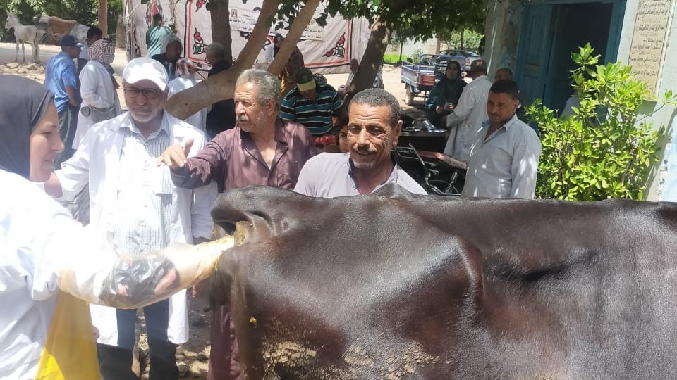 قافلة بيطرية بالغربية