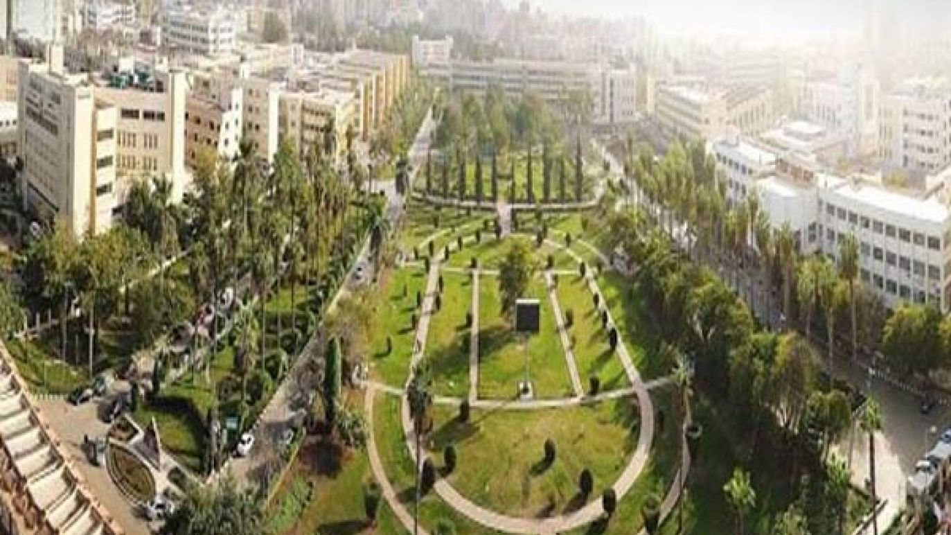 جامعة المنصورة