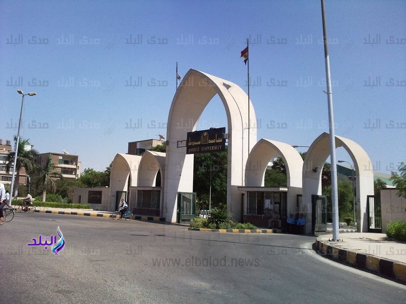 جامعة أسيوط