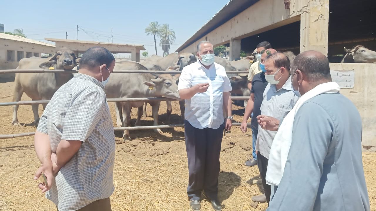 سكرتير  مساعد أسيوط يتفقد مشروع الثروة الحيوانية بأبنوب 