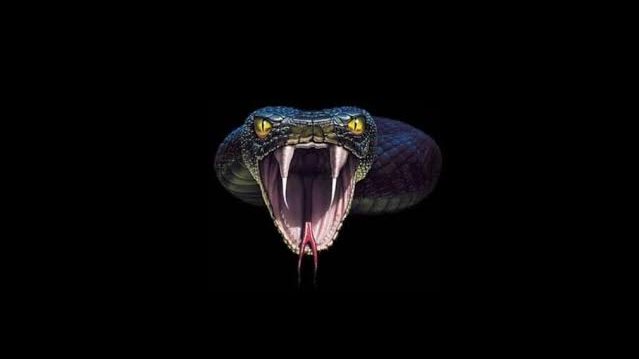 أفعى
