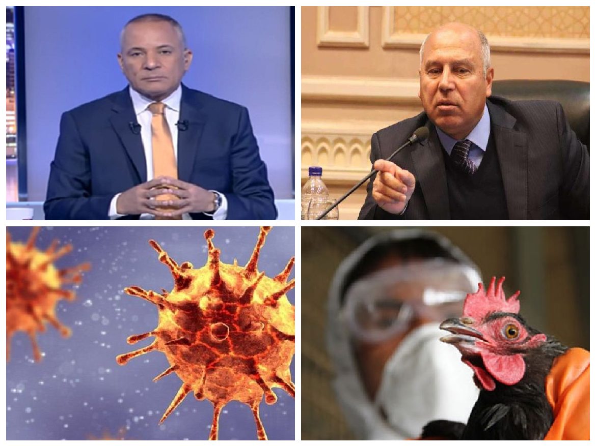 أخبار التوك شو