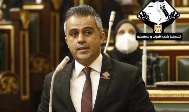 النائب أحمد فتحي 