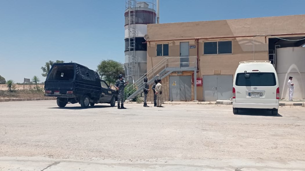 اعدام 65 طن تامول بمركز الناصرية خلال 3 شهور في الإسكندرية