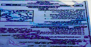 الامتحان المسرب 