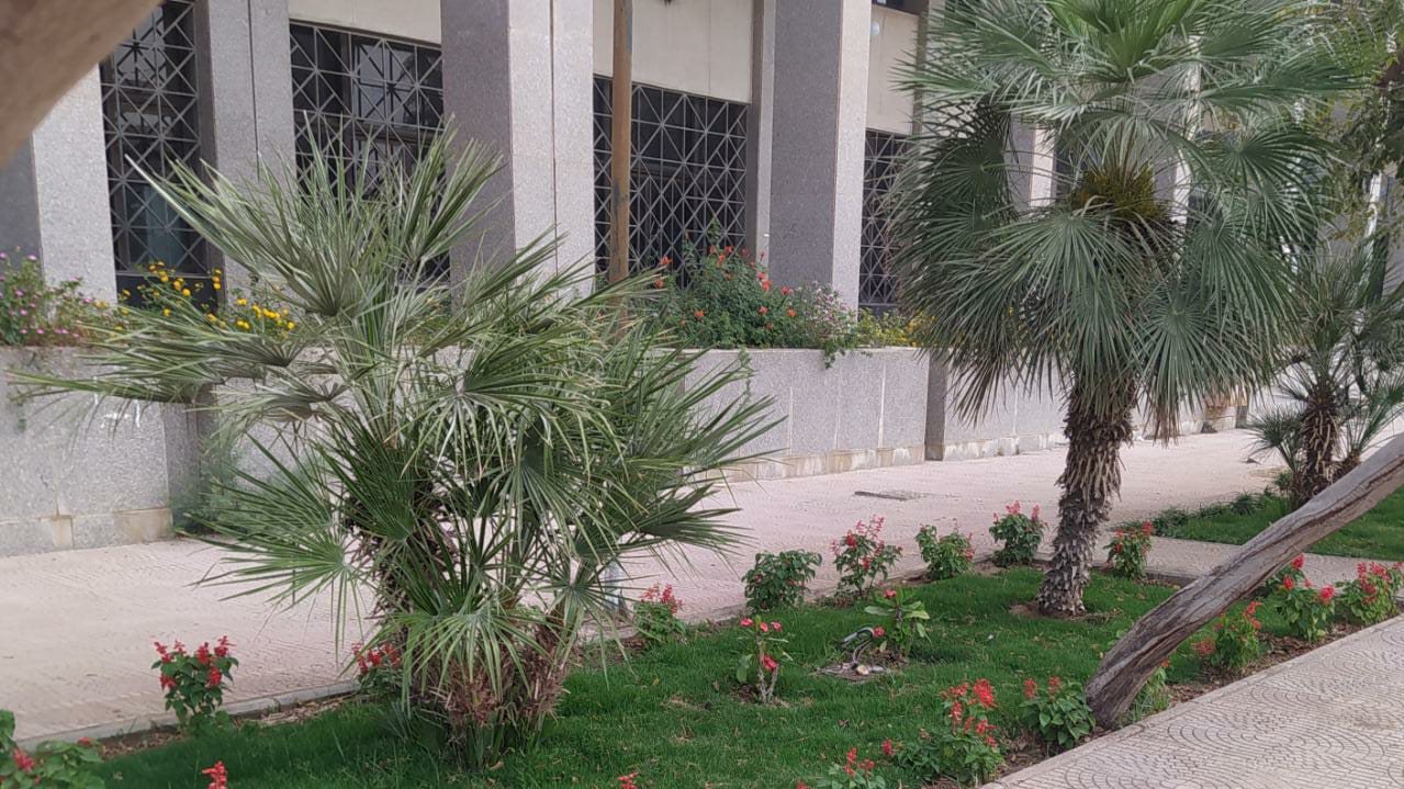 صورة ارشيفية