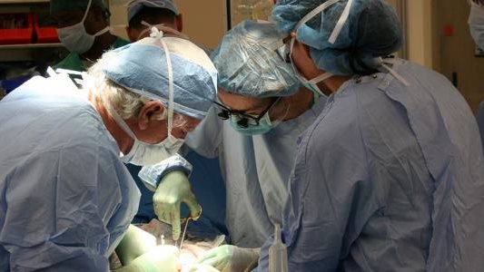 زراعة الكلي 