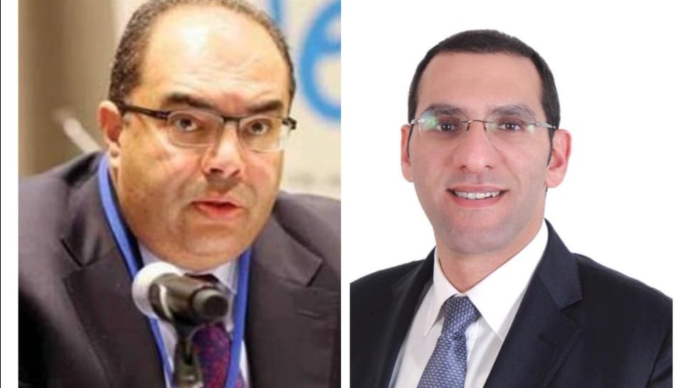 الدكتور محمود محي الدين