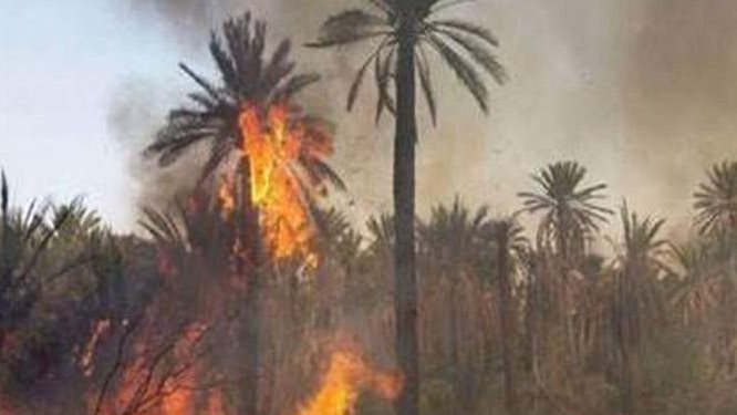 جانب من الحريق 