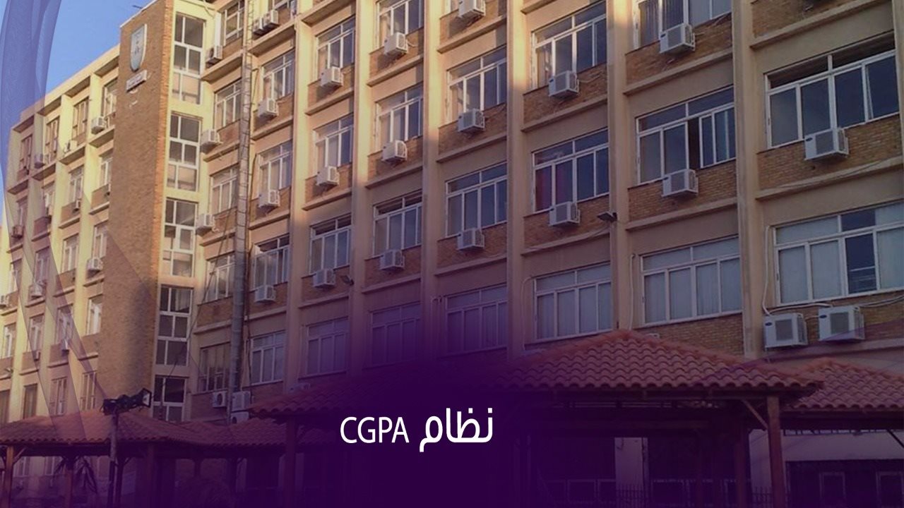 جامعة الإسكندرية