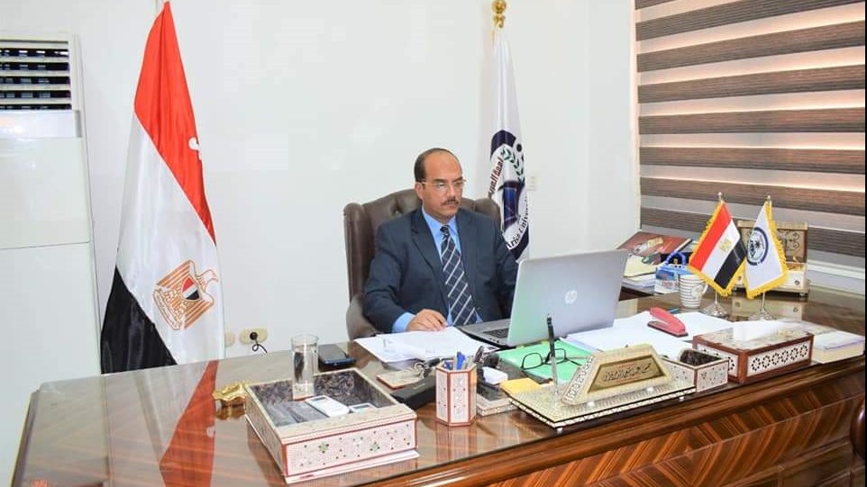 الدكتور حسن الدمرداش رئيس جامعة العريش 