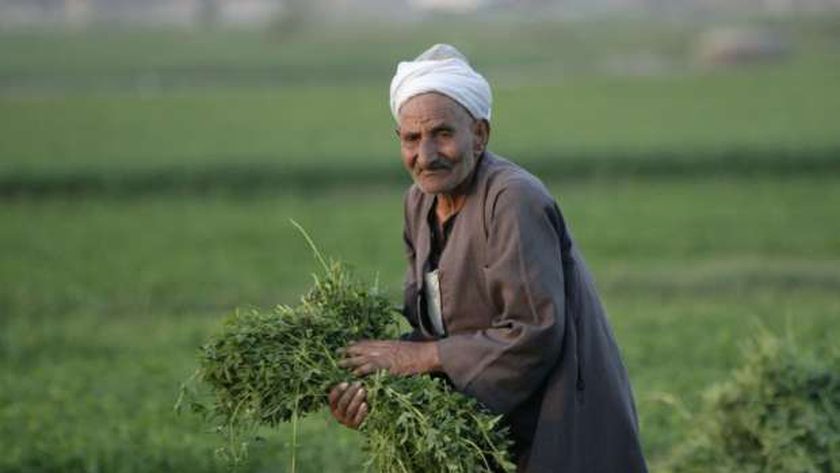  الفلاح المصري