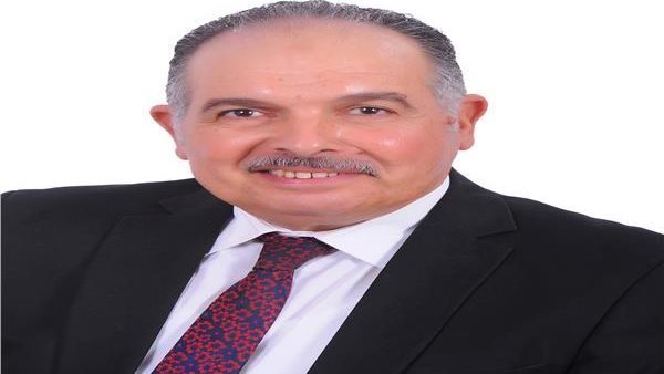 النائب عادل عامر ، عضو لجنة الطاقة والبيئة بالبرلمان