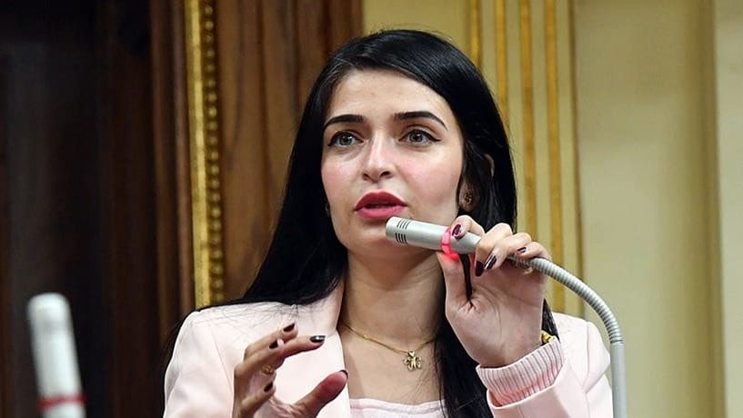 النائبة ايرين سعيد عضو مجلس النواب 