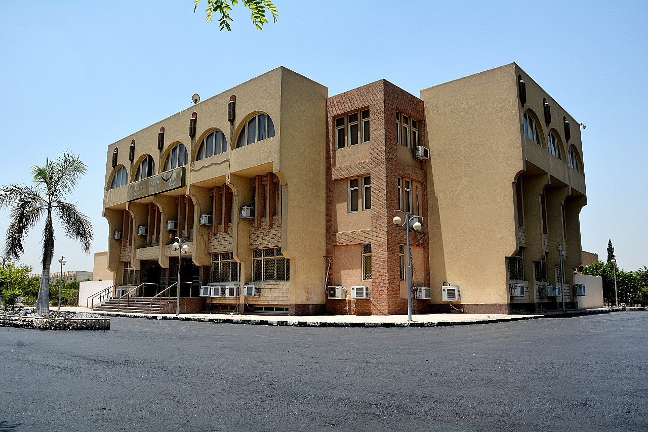 منظمة خريجي الأزهر 