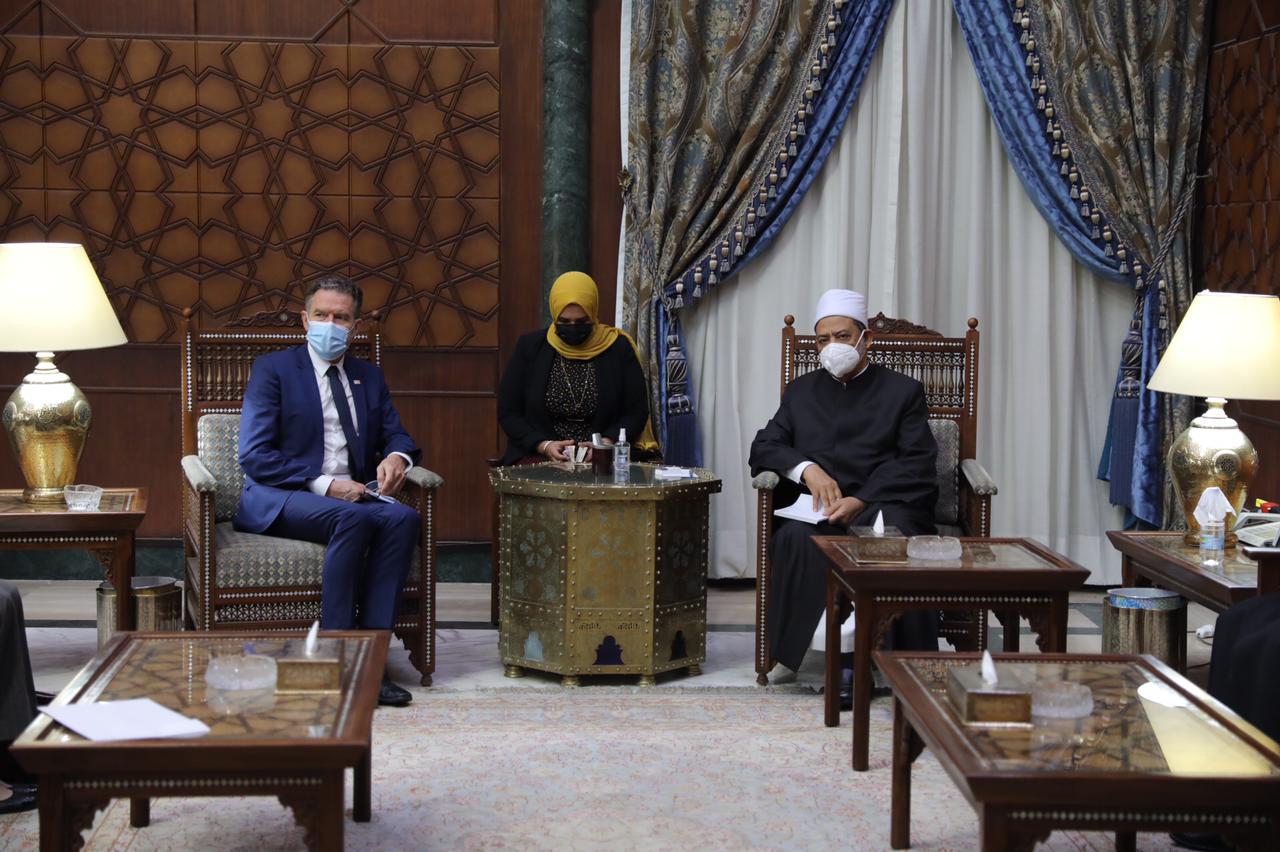 شيخ الأزهر مع السفير إيب بيترسن