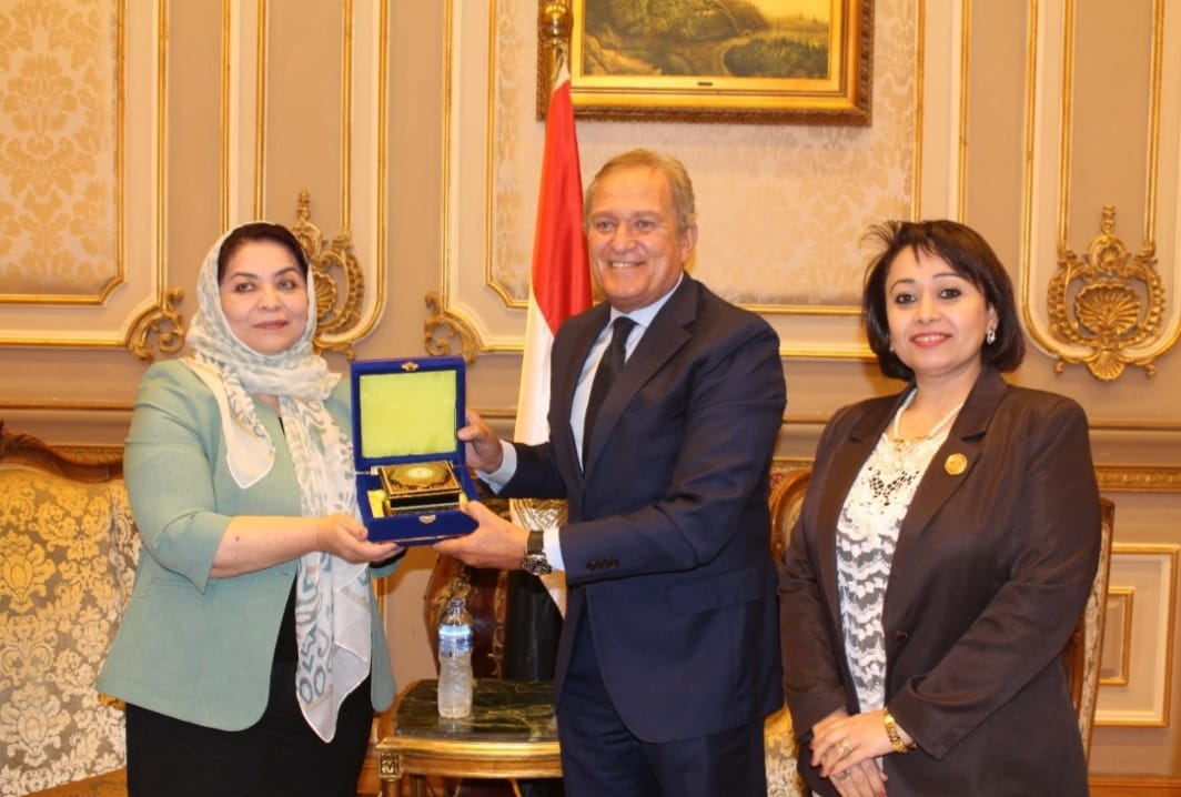 اعضاء لجنة حقوق الانسان بمجلس الشيوخ