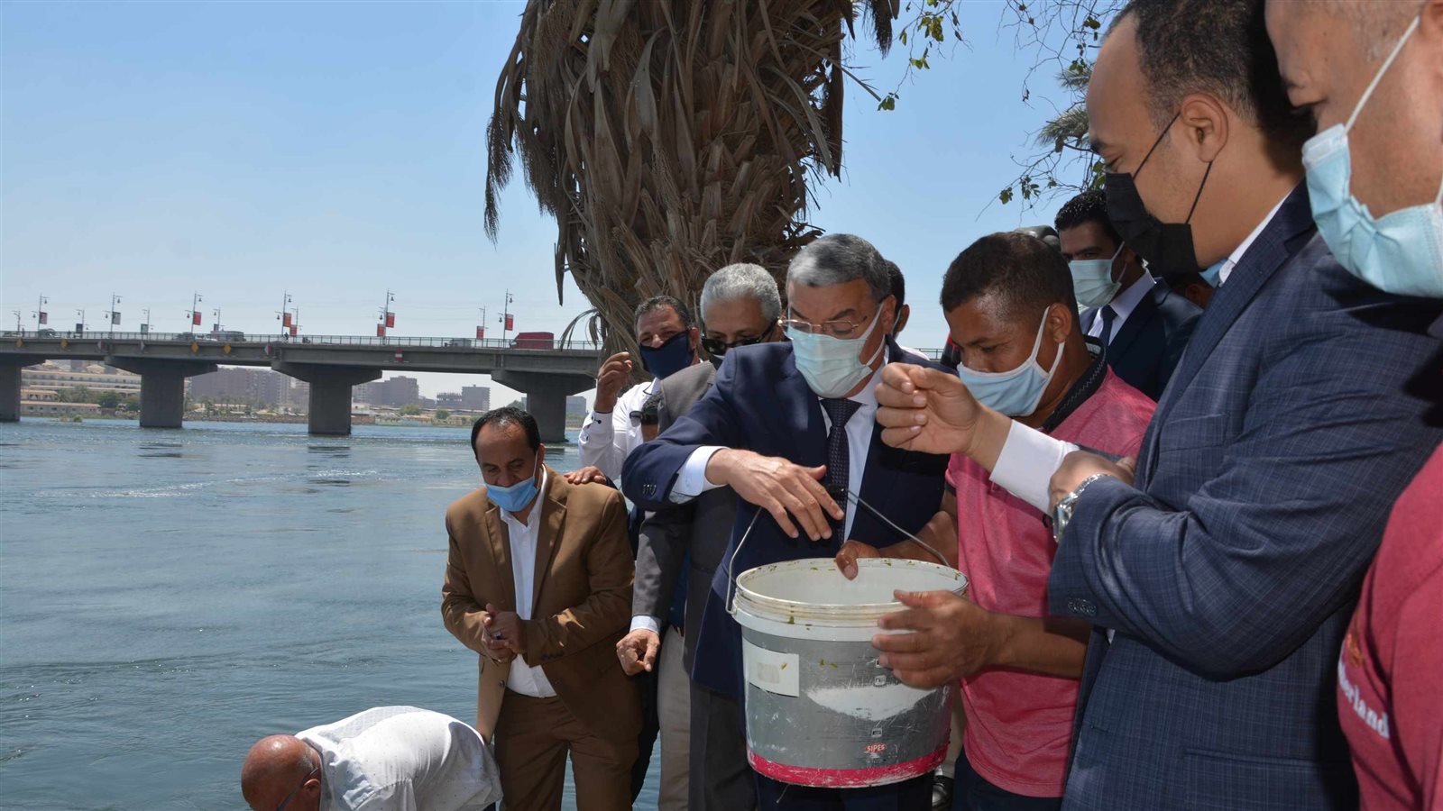 إلقاء زريعة سمك بنهر النيل 