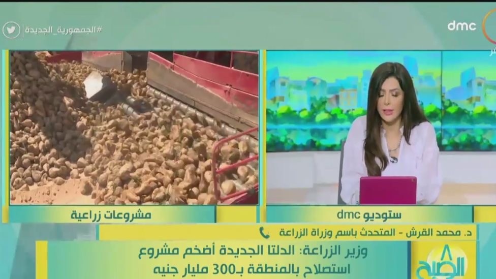 محمد القرش