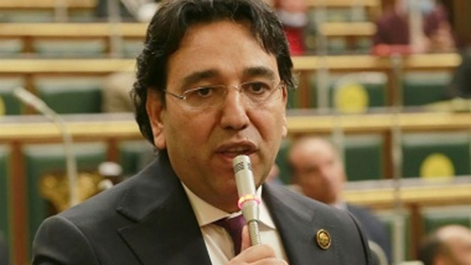 النائب أيمن محسب عضو مجلس النواب النائب أيمن محسب عضو مجلس النواب