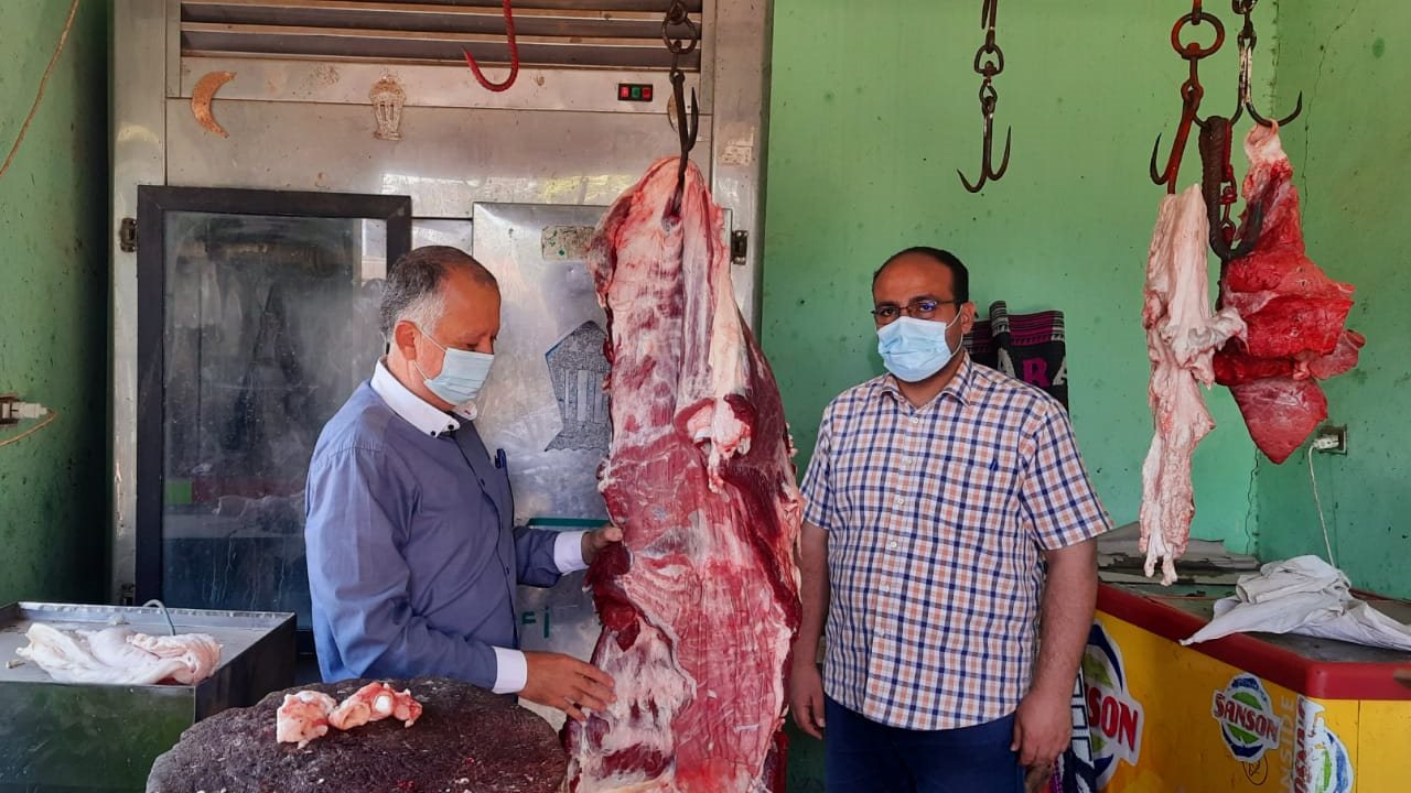 حملة تموينية