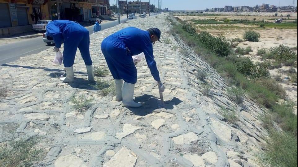 أعمال مكافحة العدوى والأمراض المعدية بالعريش