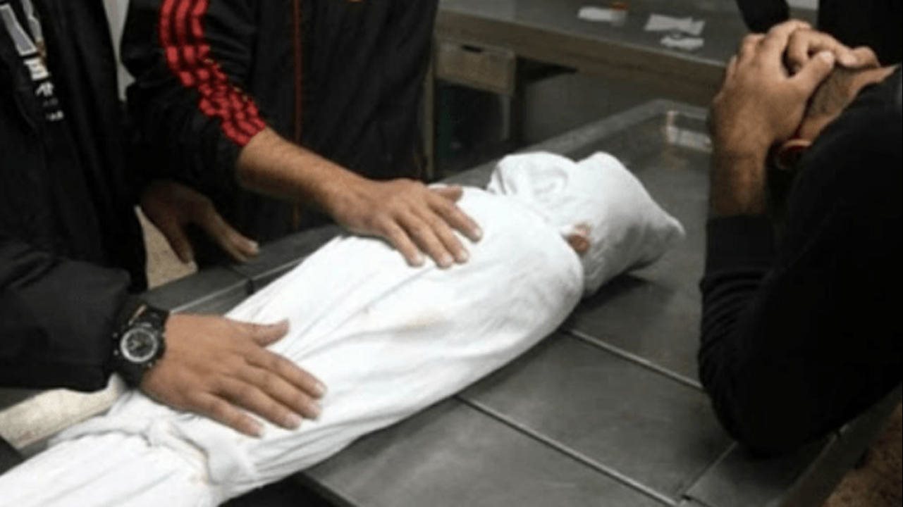 ارشيفية