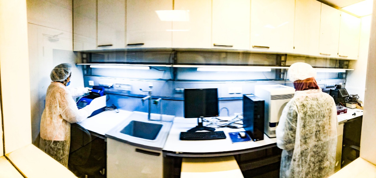 معمل الحمض النووى القديم 