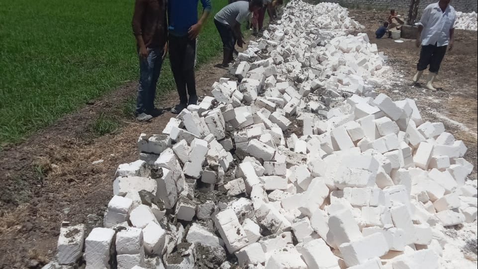 حملات مديرية الزراعة بالفيوم
